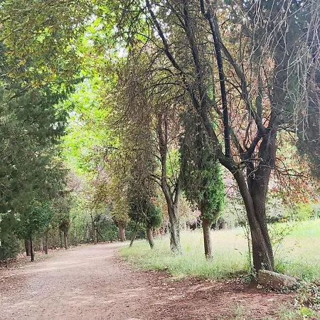 Piso Rural Sol Bergueda Avia